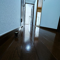 画像297